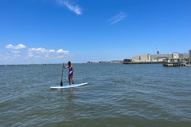 Stand Up Paddleboard Rentals Review - Customer Reviews and Ratings