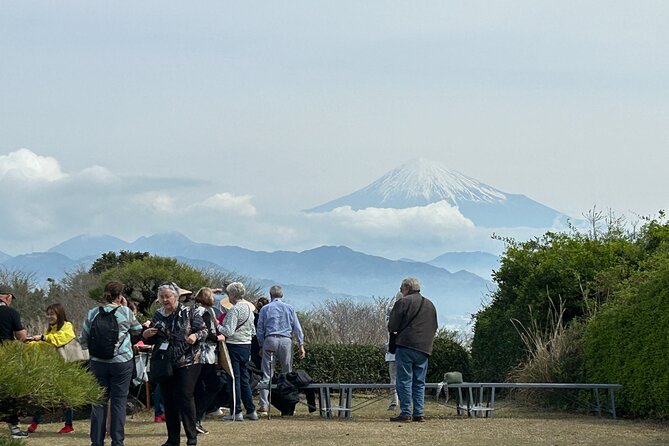 Step-Free Easy Going Tour From Shimizu Port / Van Taxi - Good To Know