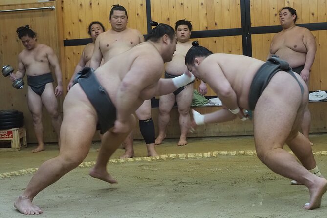 Sumo Morning Training Watch in Osaka - Good To Know