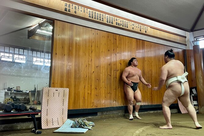 Sumo Practice Viewing Guided Tour and Photo With Sumo Wrestlers - Key Points