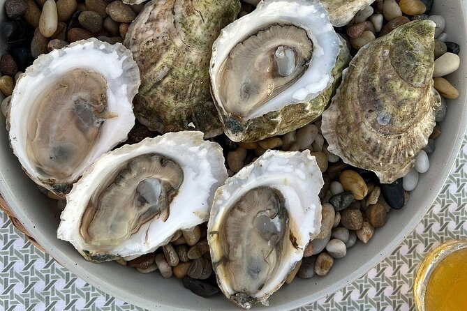 Sunset Guided Oyster Tasting Review - Good To Know