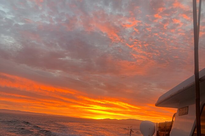 Sunset Whale Watch Tour in Monterey - Good To Know