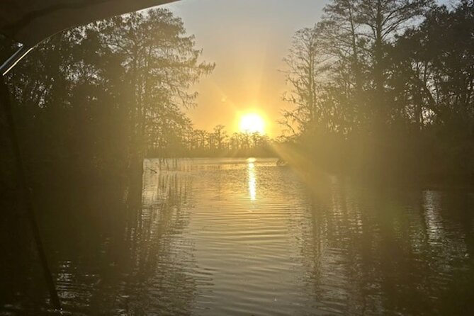 Swamp Eco-Cruise and Walking Tour Review - Exploring the Scenic Swamplands