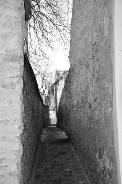 Szentendre Experience With Gabor - Good To Know