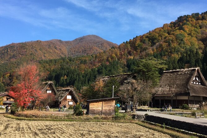 Takayama and Shirakawago Private Guided Tour Using Minivan - Key Points