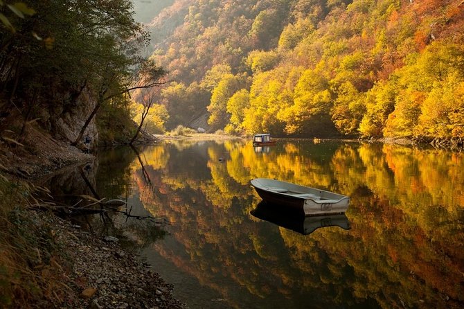 Tara Park, Wood City, Studenica Monastery, Uvac Canyon, Novi Sad, 5 Day Tour - Key Points