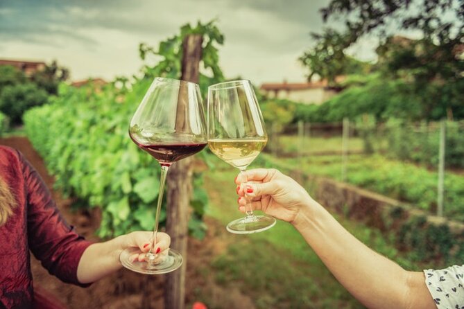 Tasting of Vernaccia, Chianti and Extra Virgin Olive Oil - Key Points