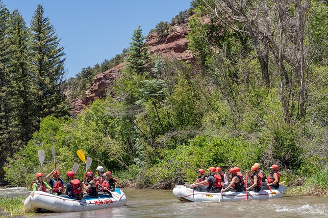 Telluride Afternoon Half-Day Rafting Tour on the San Miguel River - Key Points