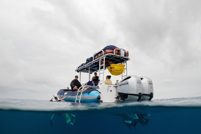 The Best 2 Hour Molokini Express Snorkeling - Good To Know