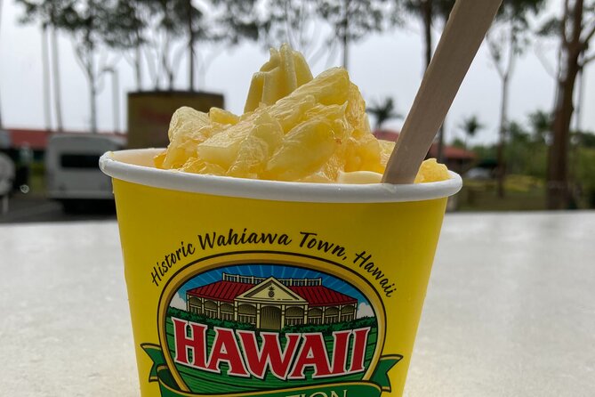 The Dole Plantation & North Shore Private Limousine VIP Tour! - Tour Overview