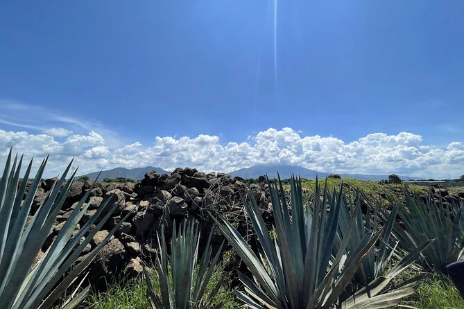 The Essence of Tequila Experience - Key Points