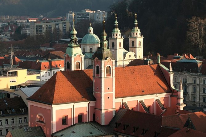The Ljubljanas Cathedral Tour (St. Nicolas Church) - Key Points