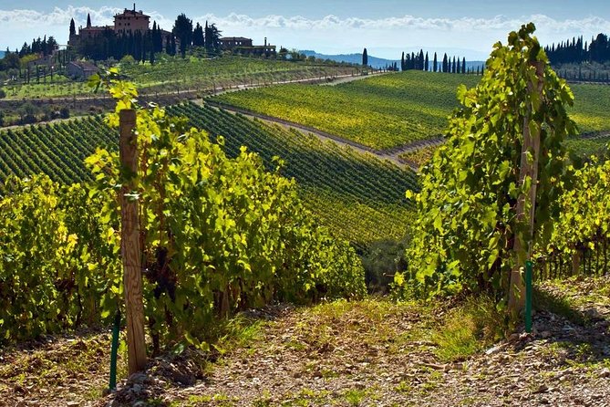 The Tuscany Countryside From Livorno Port. Lunch and Wine in the Farm Included! - Transportation Details
