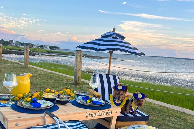 Themed Luxury Picnics in Charleston, South Carolina - Overview of Picnics With Puppies LLC