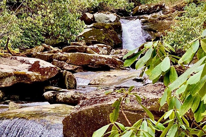 Thundering Streams and Falls of the Smokies Guided Hiking Tour - Good To Know