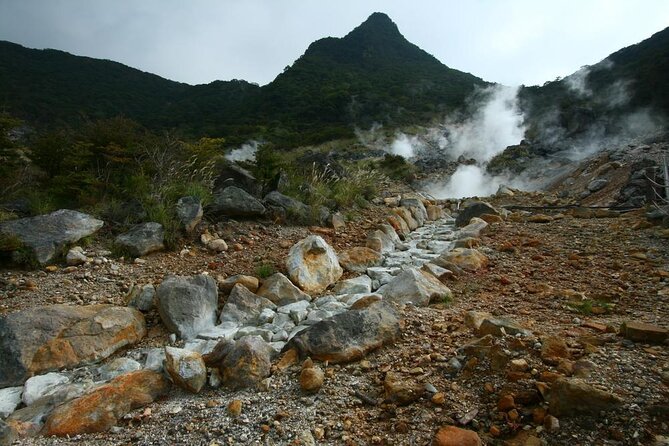 Tokyo Hakone:Mt.Fuji, Owakudani, Oshino Hakkai or Open Air Museum - Key Points