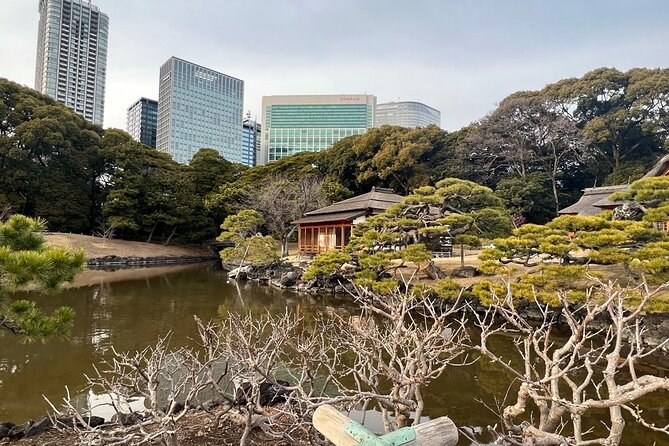 Tokyo: Japanese Garden Walking Tour With Tea and Sweets - Good To Know