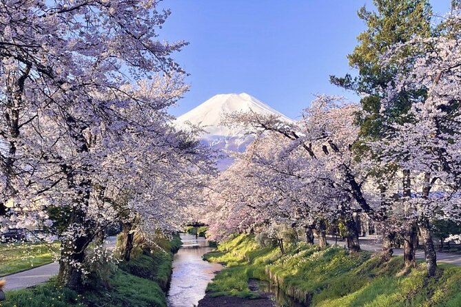 TOKYO OishiPark, Oshino & KoedoKawagoe, Fuji Mount - Tour Overview
