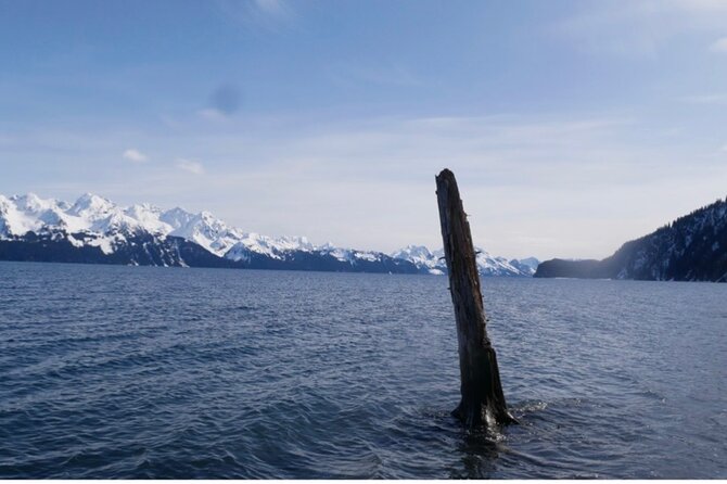 Tonsina Beach Hike With Seward Guided Hikes