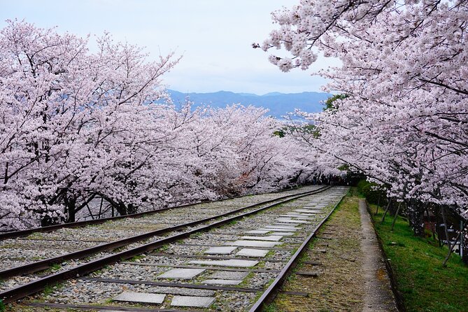 Tourist-Free E-Bike Tour Departing From Kyoto Station - Key Points