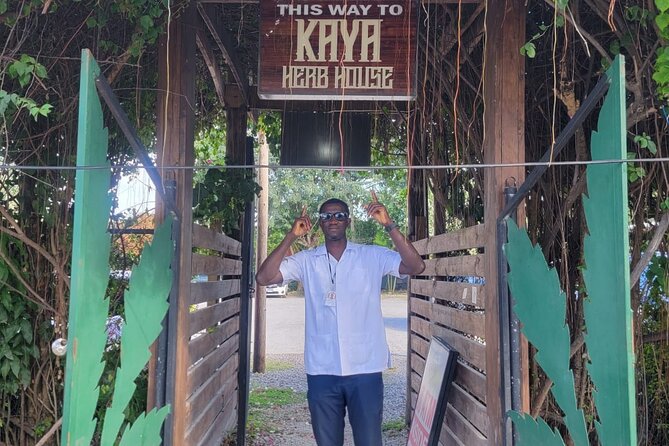 Transfer From Falmouth to Dunns River Falls - Key Points