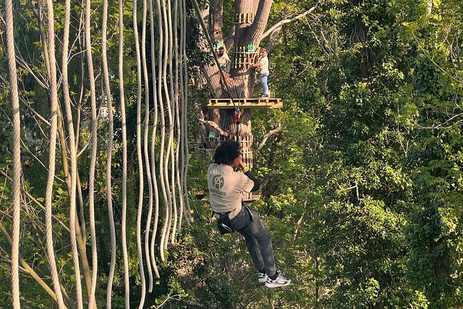 Treetop Adventure Course in the Heart of Rouen - Key Points