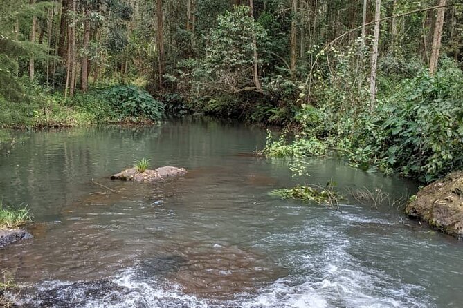 Trip From Nairobi to Muranga With Waterfall Hike and Picnic - Overview of the Trip