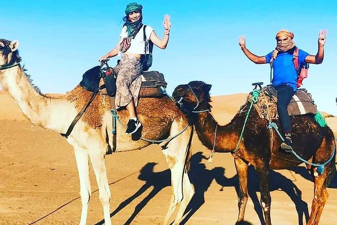 Trip To Sahara Days 3 / 2 Nights From Fez To Marrakech ( Luxury ) - Key Points