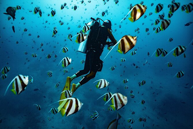 Try Scuba Diving in Kauai: All Experience Levels - Key Points