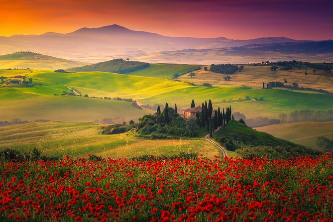 Tuscany From Rome by Private Car With Lunch and Wine Tasting - Key Points