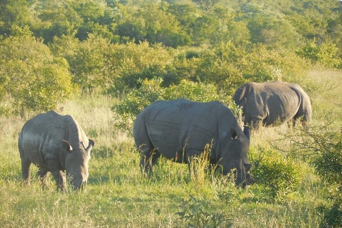 Two Day Kruger National Park Safari From Johannesburg - Itinerary and Inclusions