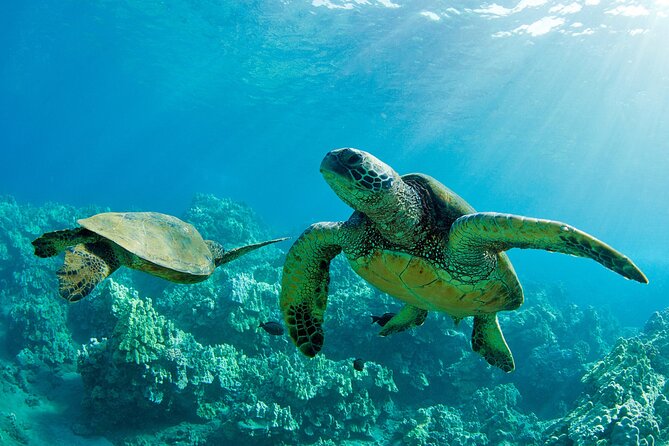 Ultimate North Shore Adventure Review - Good To Know