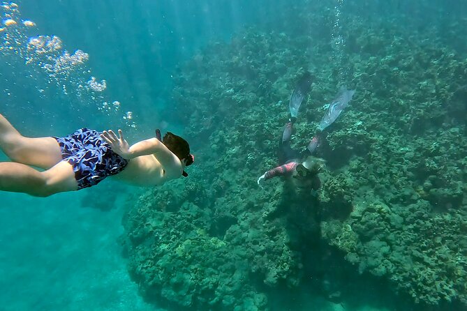 Unlimited Guided Snorkeling Tour Review - Good To Know