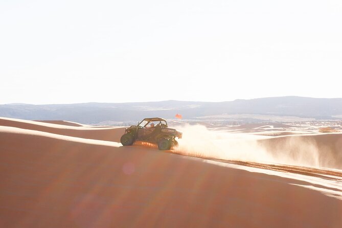 UTV Dune Cruise and Surf at Coral Pink Sand Dunes - Good To Know