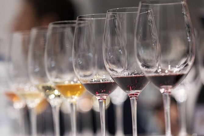 Valencia Wine Tasting and Tapas Experience - Exploring the Tapas Selection