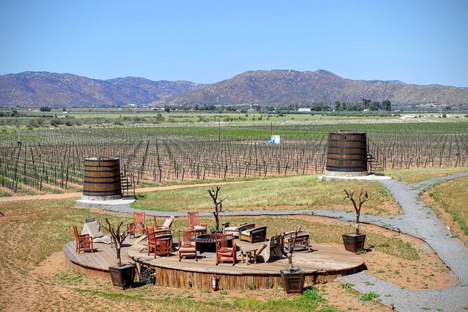 Valle De Guadalupe Private Driver Review - Tour Overview