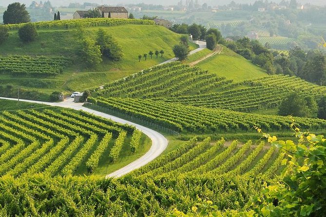 Venice-Verona Amarone Tour - Key Points