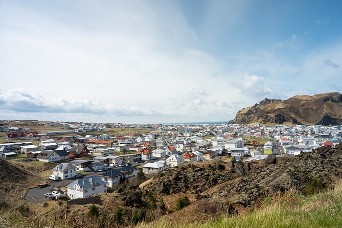 Vestmannaeyjar, Puffins & Volcanoes Small Group Day Tour - Key Points