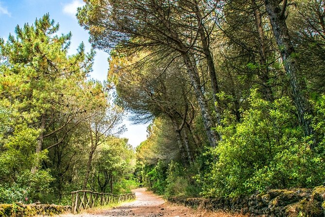 Vesuvius and Capri Trekking and Sailboat Tour 3 Days - Key Points