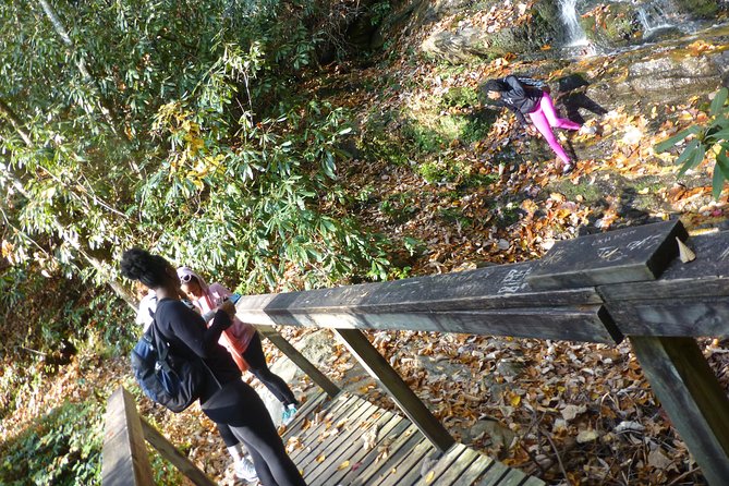 Victoria Bryant State Park Hike Review