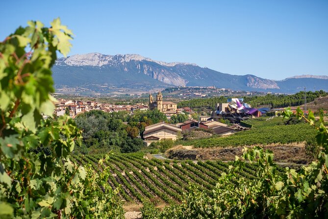 Vineyard Voyage: a Wine Lover'S Tour From Bilbao to Rioja - Key Points