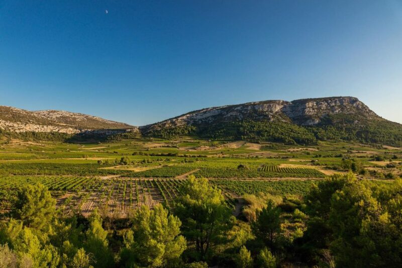 Vingrau : Wine Tasting - Key Points