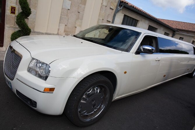 VIP Cherry Blossom Tour by Limousine With Exclusive Dinner - Key Points