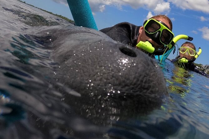 VIP Private Boat Manatee Snorkel Tour With In-Water Guide and Photograper - Good To Know