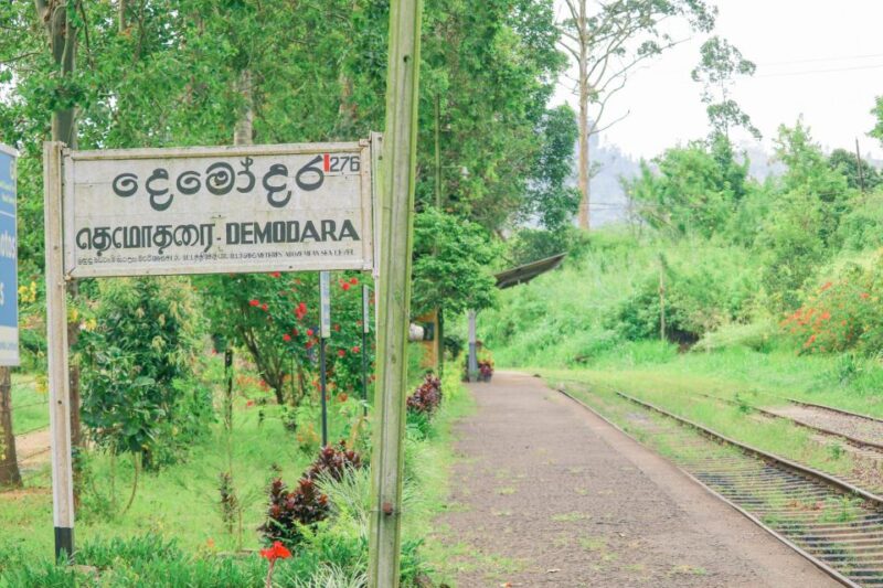 Visit Nine Arch Bridge,Ravana & Diyaluma Falls,Safari - Good To Know