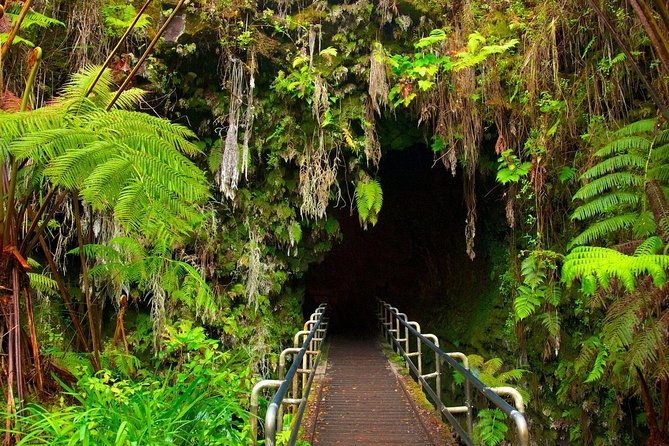 VOLCANO ISLAND - Tour in Spanish - Key Points