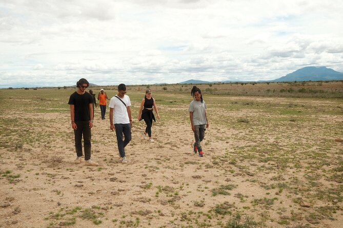 Walking Day Tour to Safari in Arusha National Park - Key Points