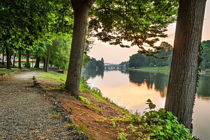 Walking Tour of Valentino Park - The Monumental Trees - Key Points
