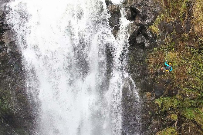 Waterfall Rappelling at Kulaniapia Falls: 120 Foot Drop, 15 Minutes From Hilo - Good To Know