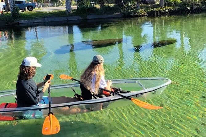 Weeki Wachee Clear Kayak Ecotours Manatee Season - November 14th-March 31st - Good To Know